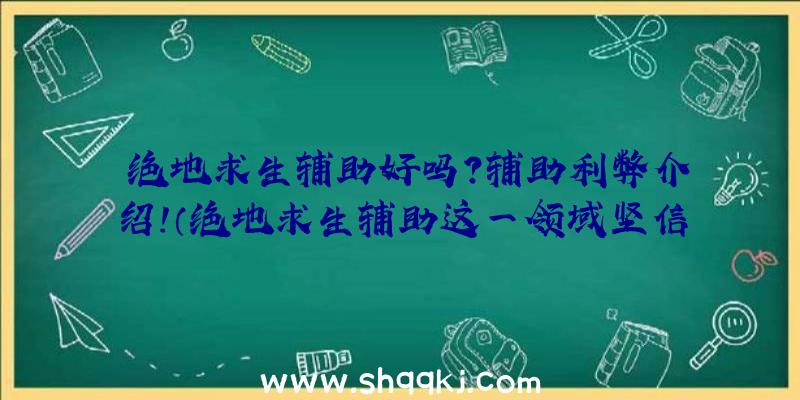 绝地求生辅助好吗？辅助利弊介绍！（绝地求生辅助这一领域坚信大伙儿没有深入分析过,最少也听别人说）